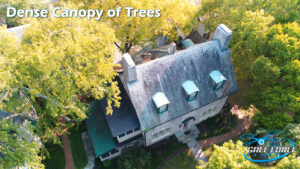 are realtors hiring drone pilots? house under canopy of trees